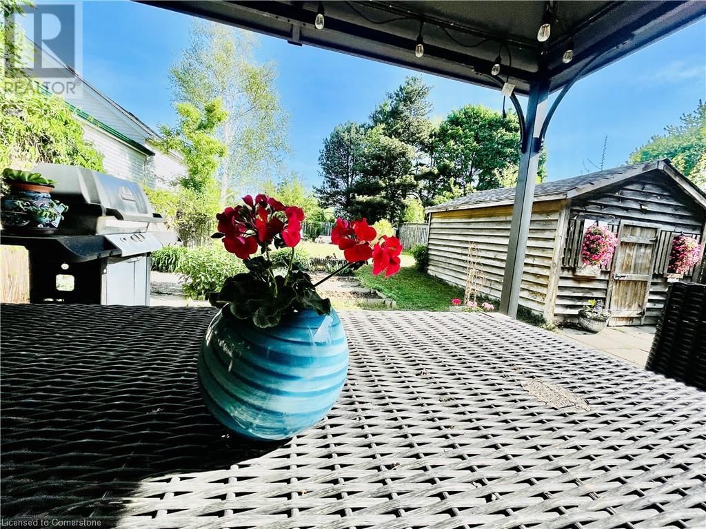776 ELIZABETH STREET Image 33