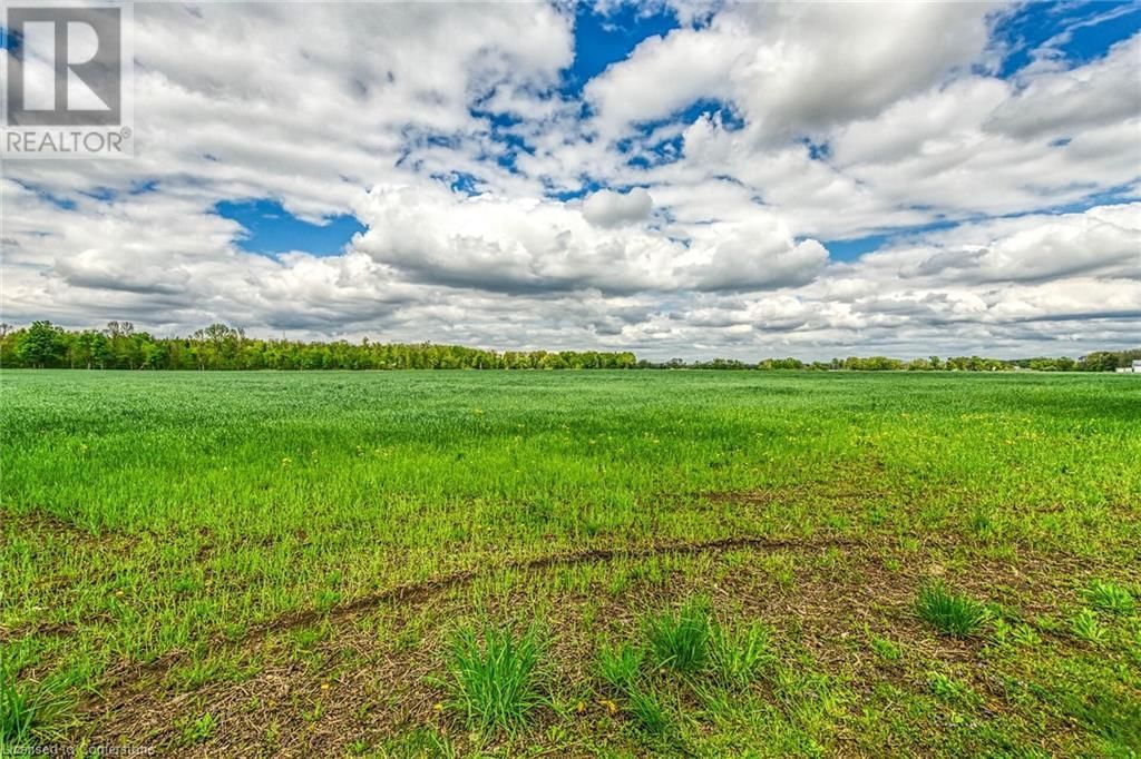 208 HIGHWAY 53 Image 39