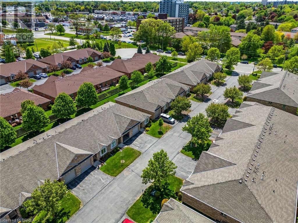 10 - 25 COBDEN COURT Image 3