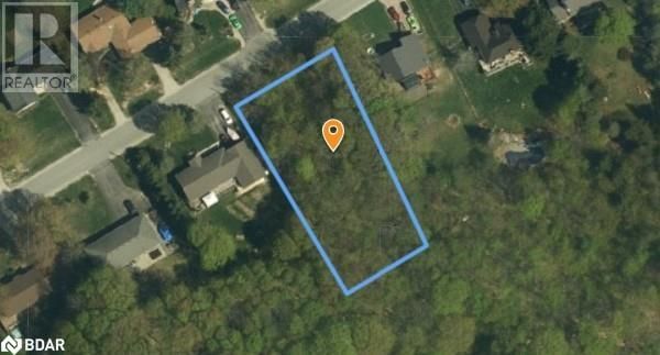 Primary Property View