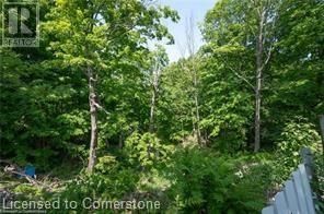 399 TOWER HEIGHTS DRIVE Image 30