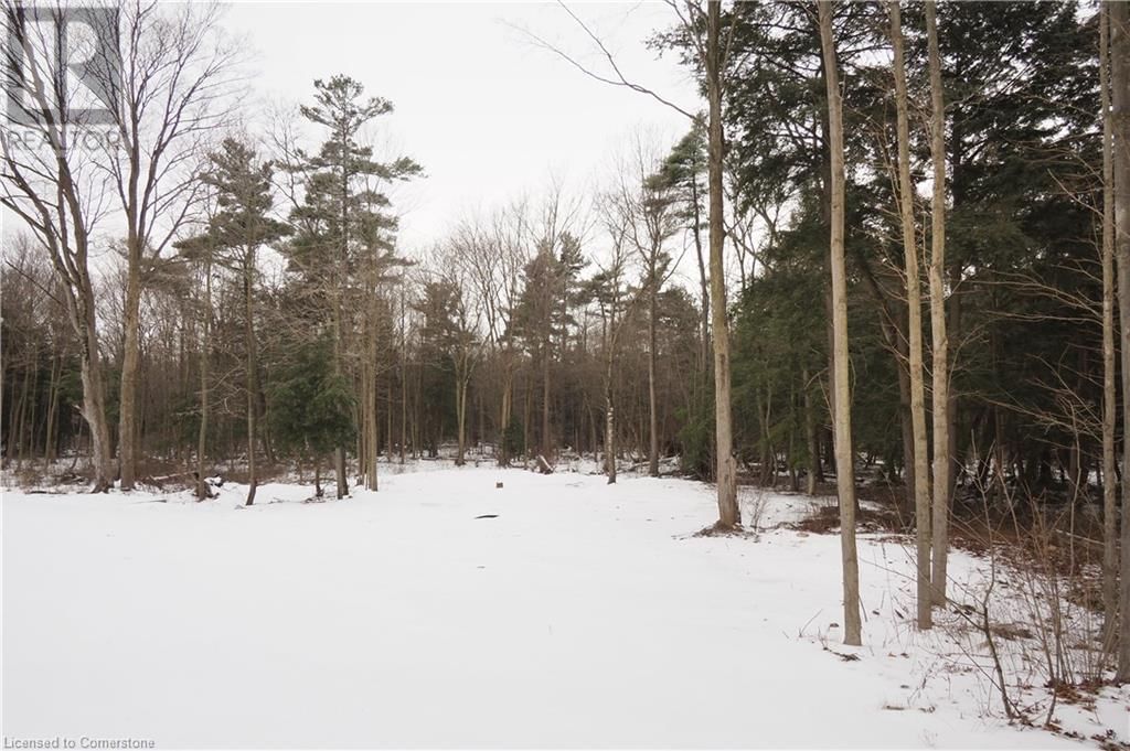 3191 WINDHAM WEST QUARTER LINE ROAD Image 43