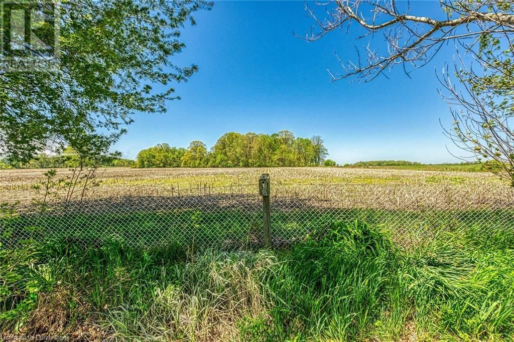 199 DICKHOUT ROAD Image 49