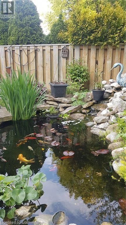 309 CHRISTOPHER DRIVE Image 38