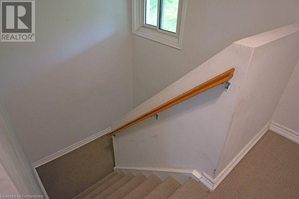 5 - 11 COLMAR PLACE Image 10