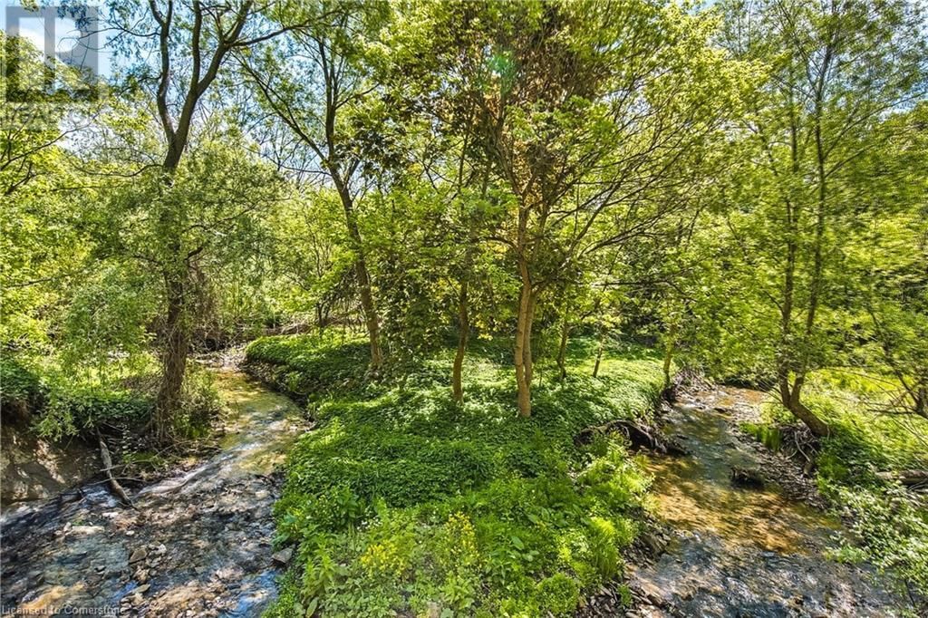 932 OLD DUNDAS ROAD Image 36