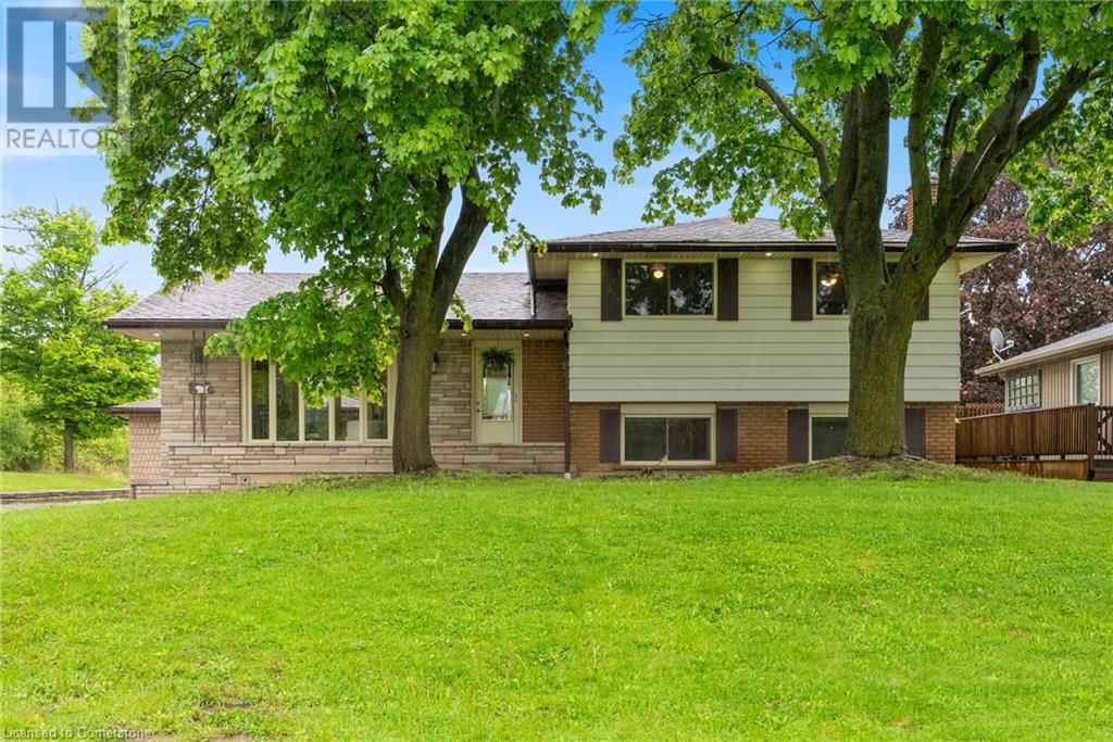 Primary Property View