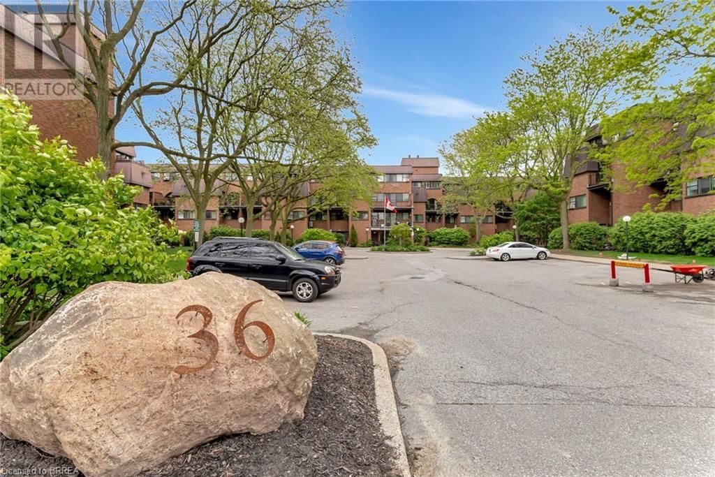 Primary Property View