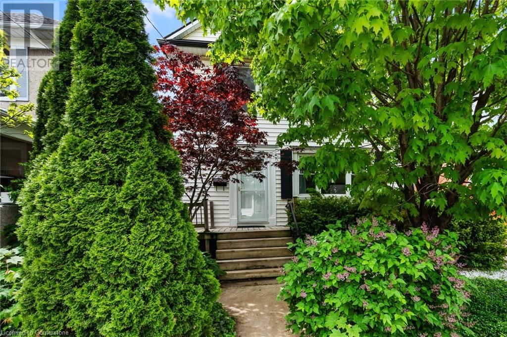 42 CHAPLIN AVENUE Image 5