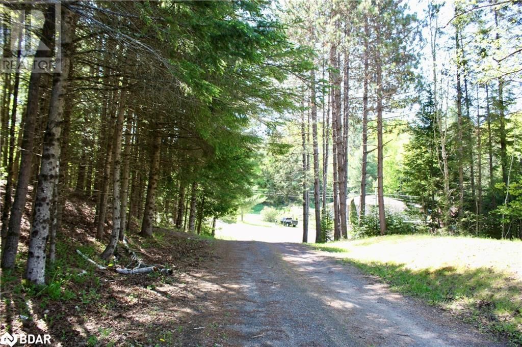 22 ROBERT DRIVE Image 24