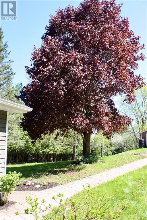22 ROBERT DRIVE Image 25