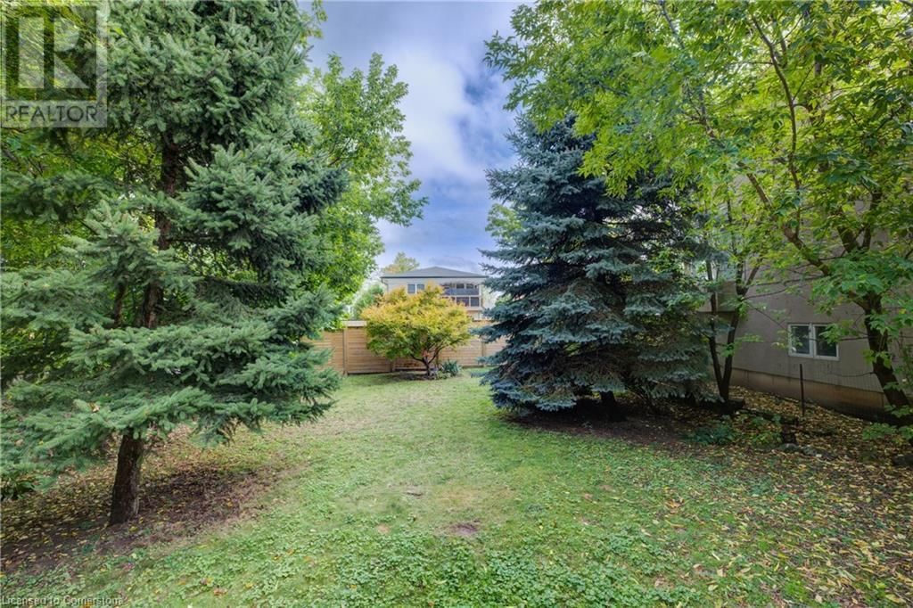 35 FERN AVENUE Image 34