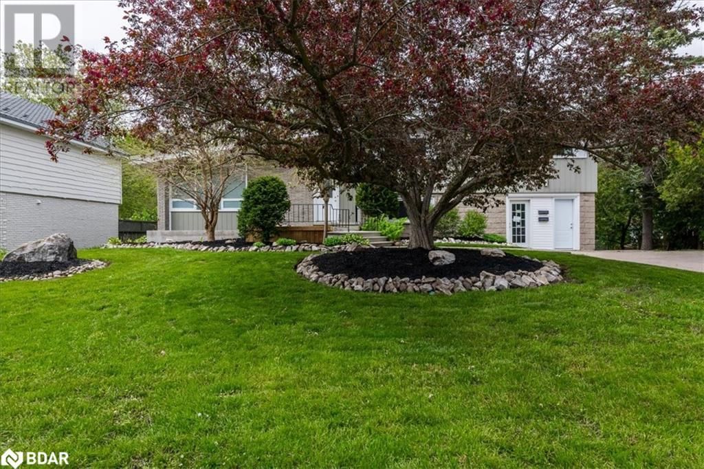 46 EUGENIA STREET Image 47