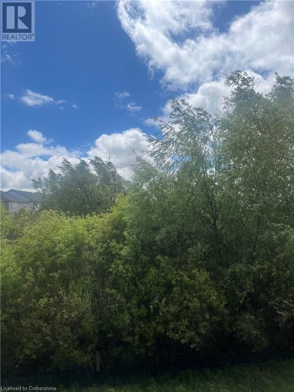 255 LADYSLIPPER DRIVE Image 15