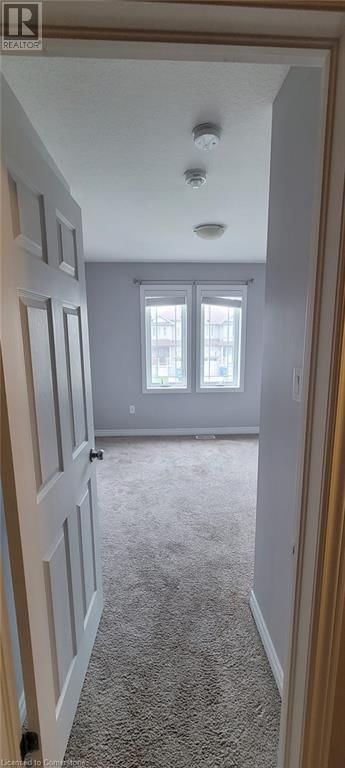 10 MCCANN STREET Image 12