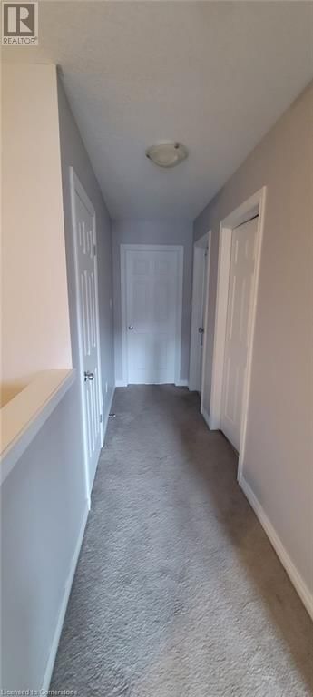 10 MCCANN STREET Image 14