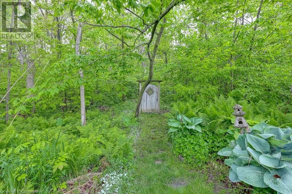 7 - 20 FORREST AVENUE WEST Image 31