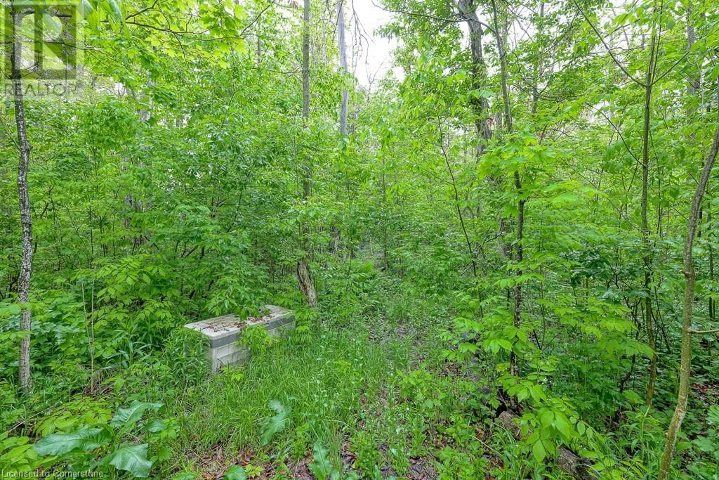 7 - 20 FORREST AVENUE WEST Image 36