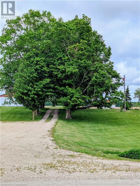 Primary Property View