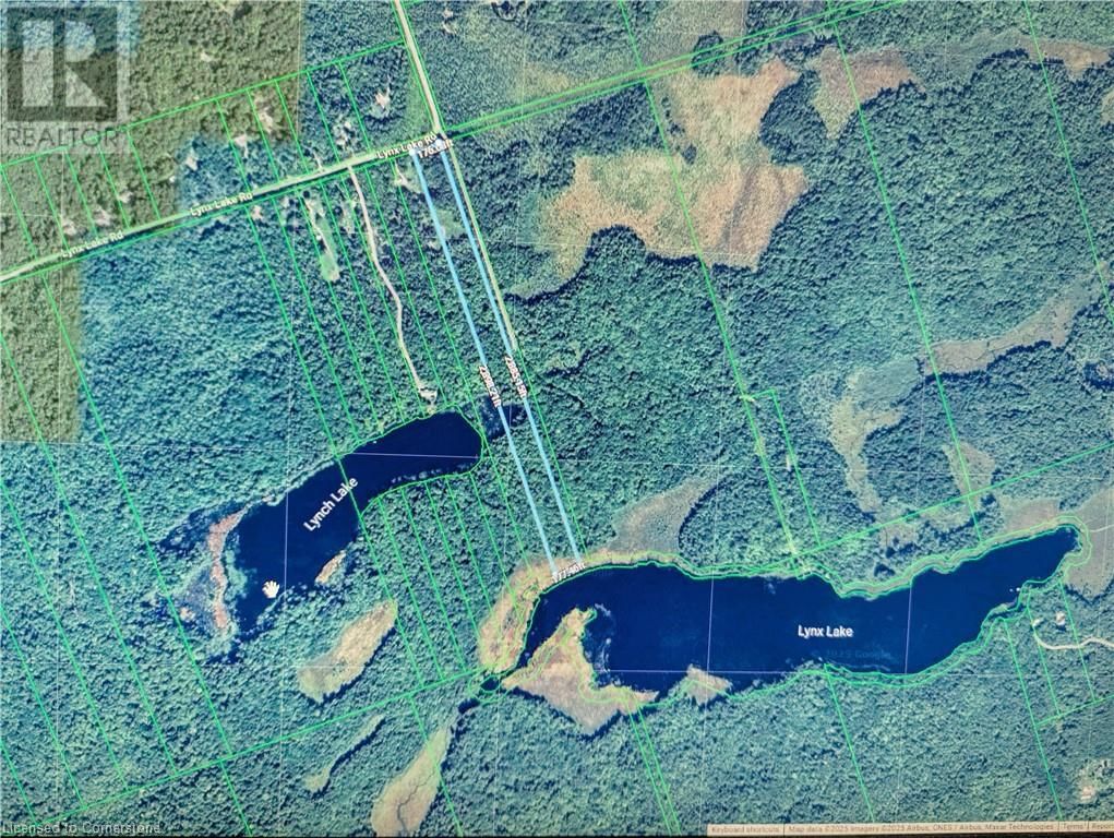 Primary Property View