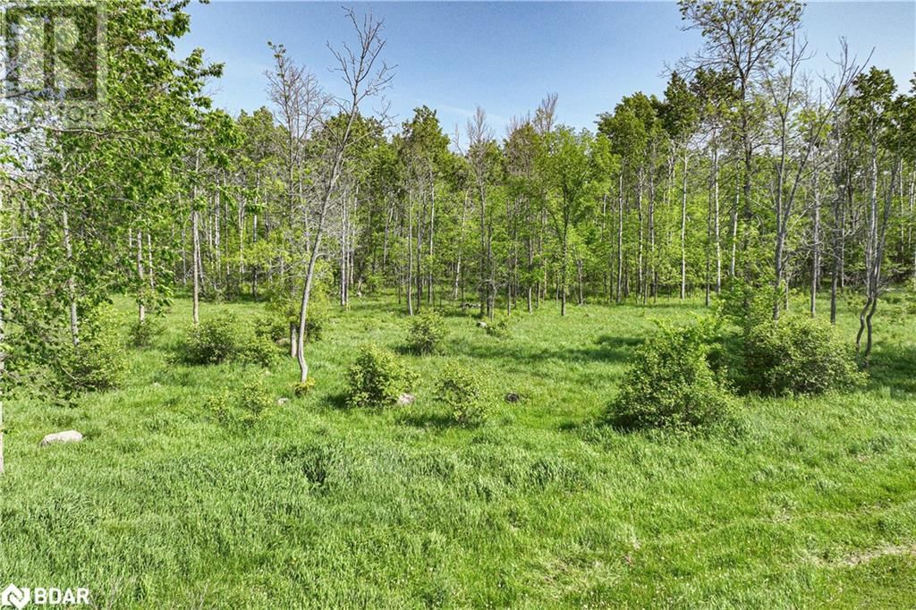 1579 WAINMAN LINE Image 5