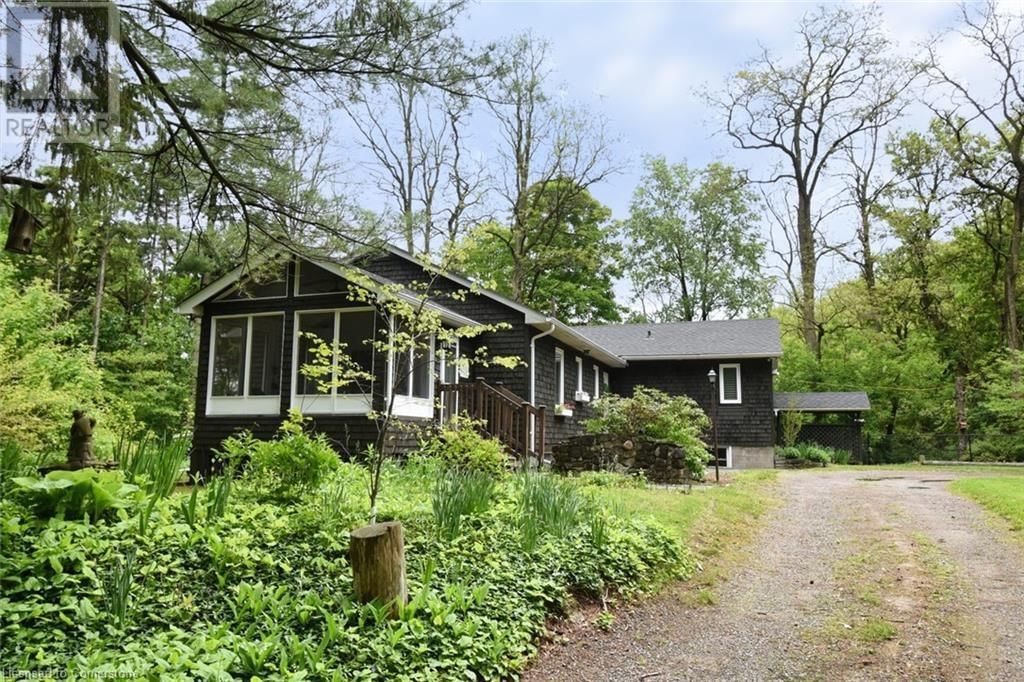 Primary Property View