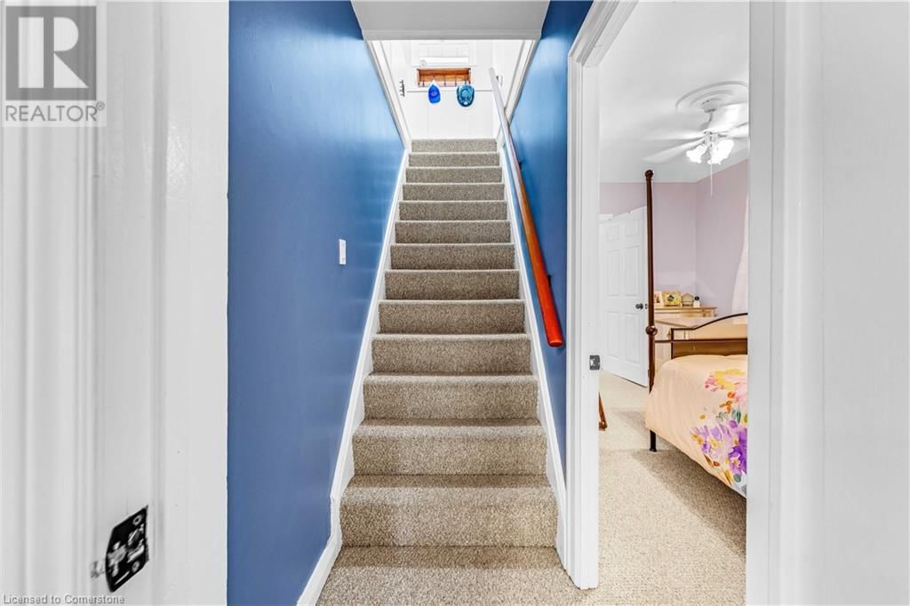 21 NORFOLK STREET Image 26