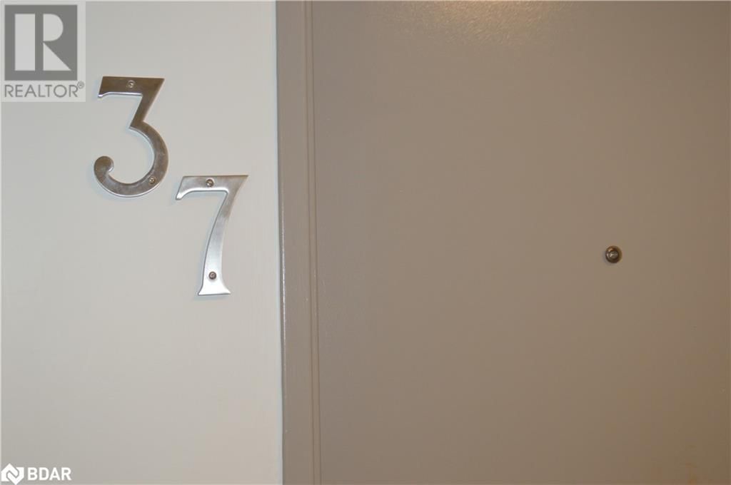 37 - 2 ALBERT STREET Image 3