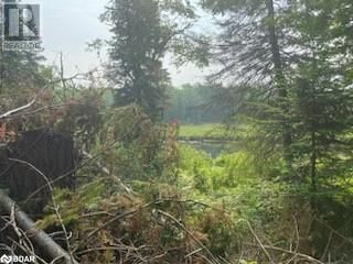 30 HIGHWAY 62 Image 13