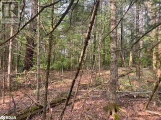 30 HIGHWAY 62 Image 18