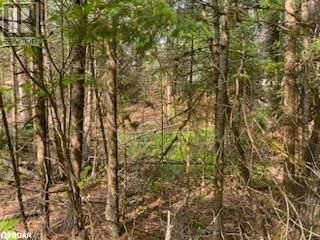 30 HIGHWAY 62 Image 19