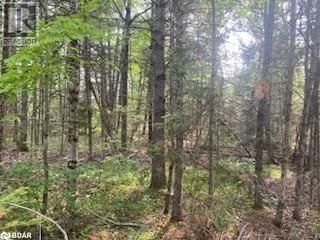 30 HIGHWAY 62 Image 20