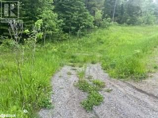 30 HIGHWAY 62 Image 5
