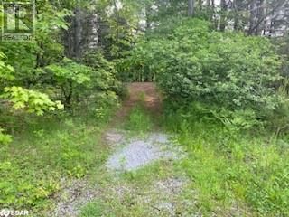 30 HIGHWAY 62 Image 6