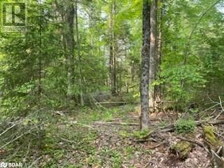 30 HIGHWAY 62 Image 7