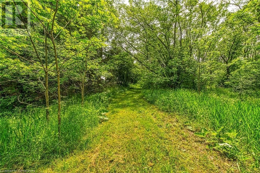 99 SAWMILL ROAD Image 36