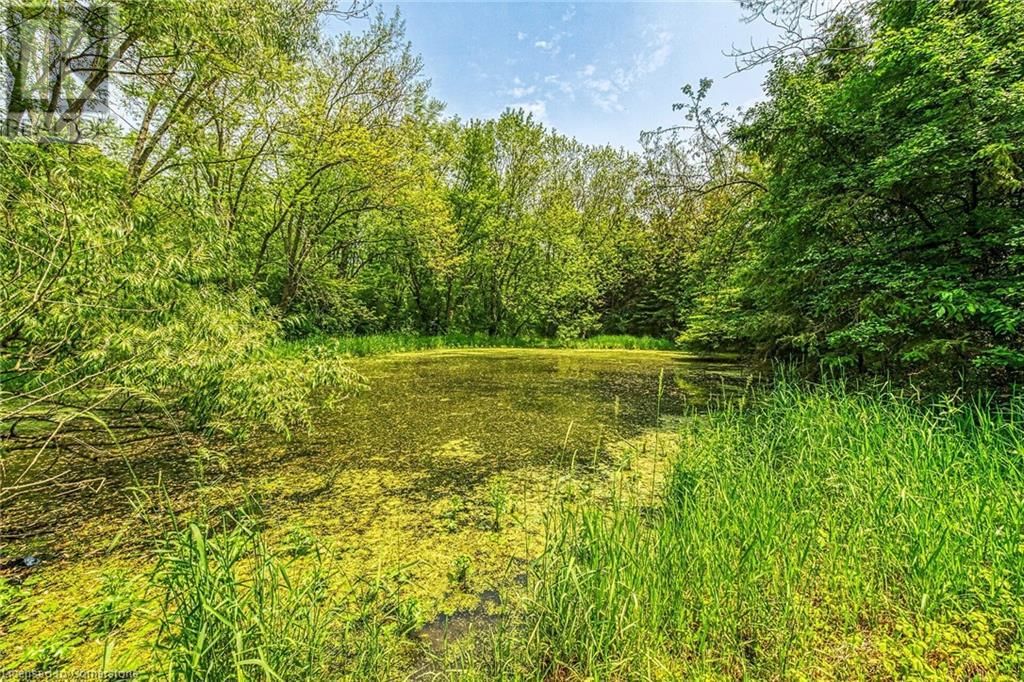 99 SAWMILL ROAD Image 37
