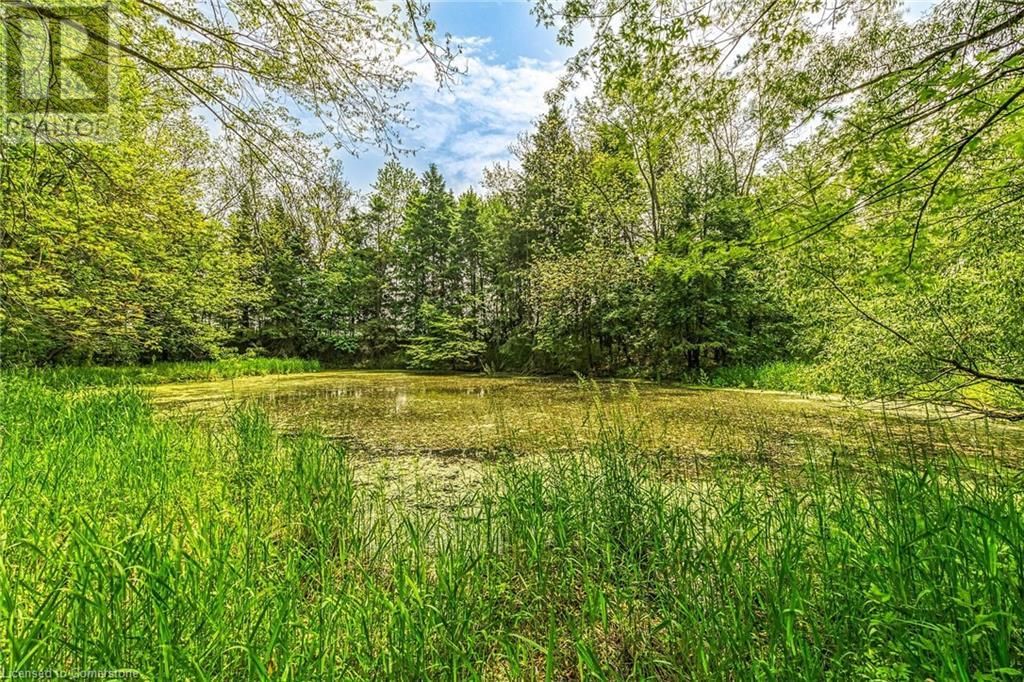 99 SAWMILL ROAD Image 38