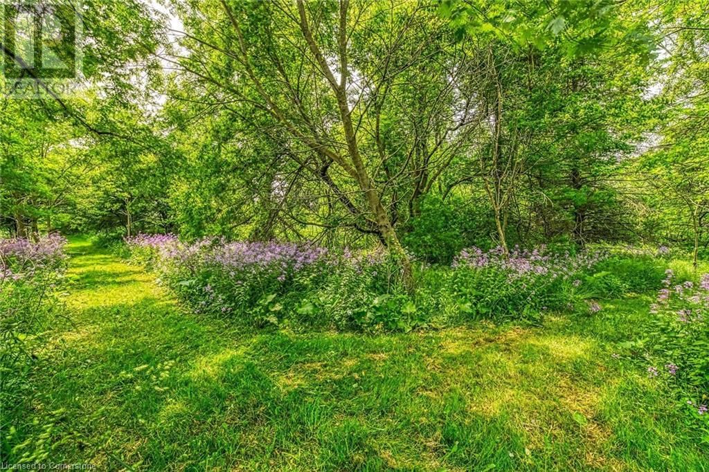 99 SAWMILL ROAD Image 39