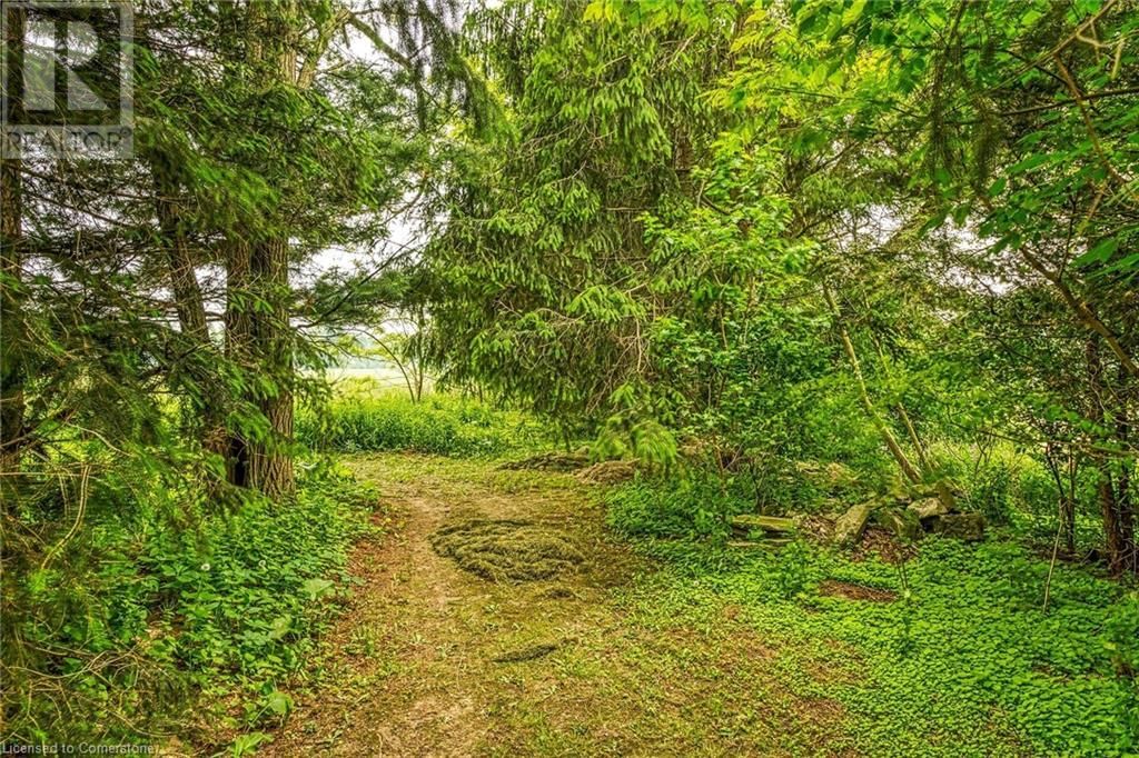 281 BIG CREEK ROAD Image 34