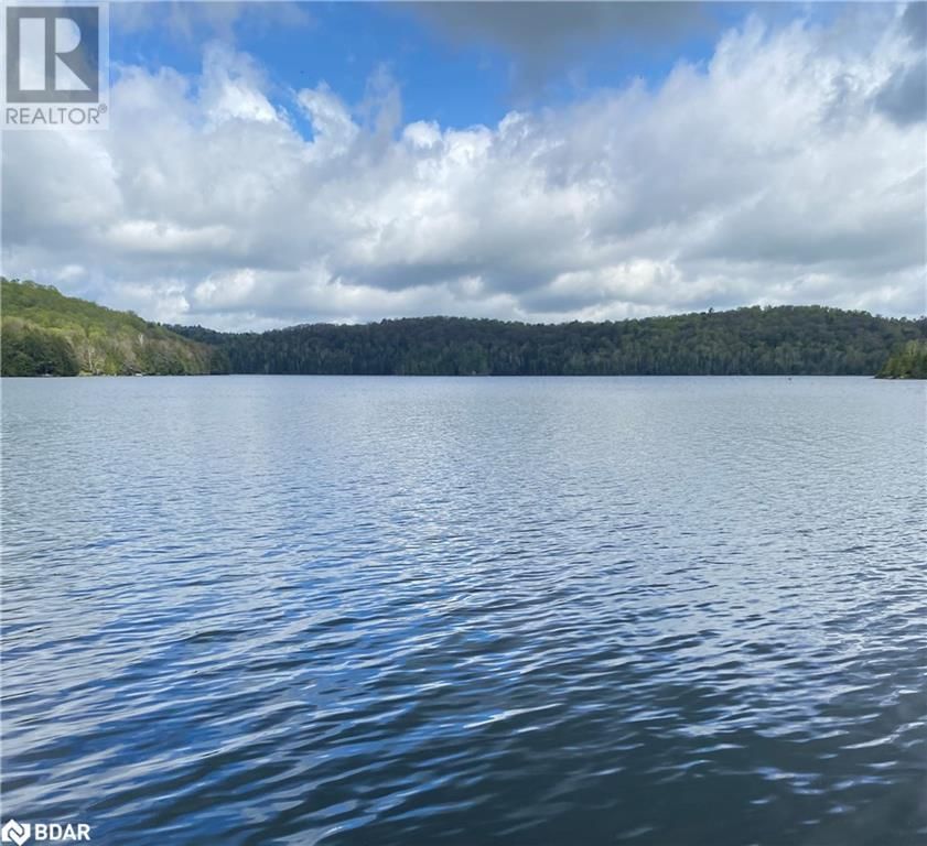 393 LOON ROAD Image 1