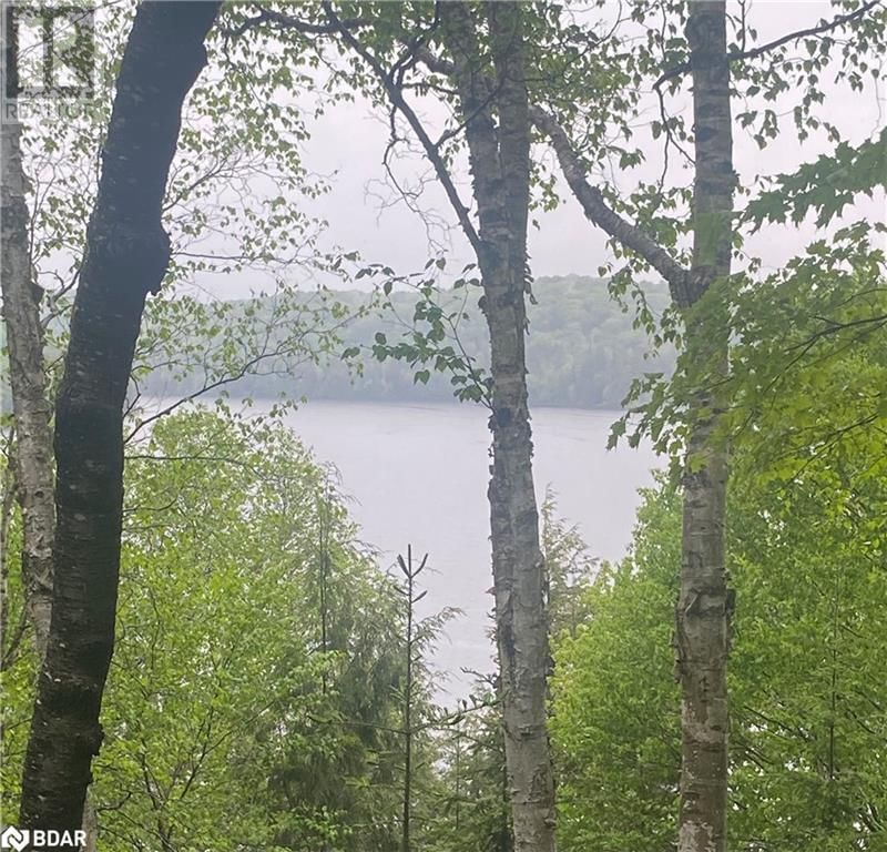 393 LOON ROAD Image 17