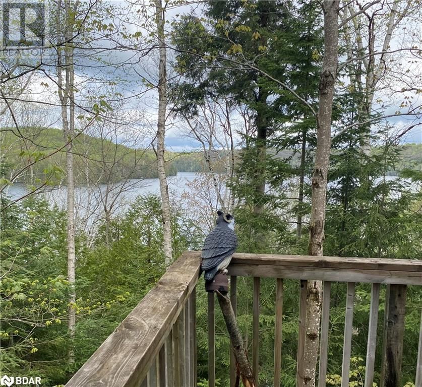 393 LOON ROAD Image 35