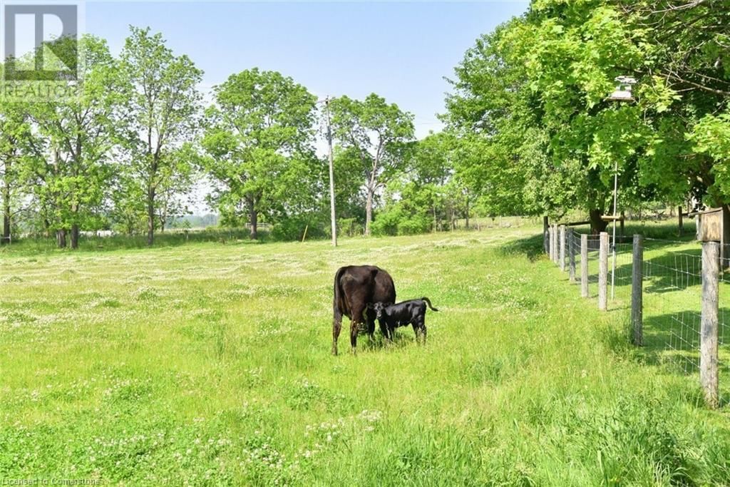 1344 HIGHWAY 8 Image 43