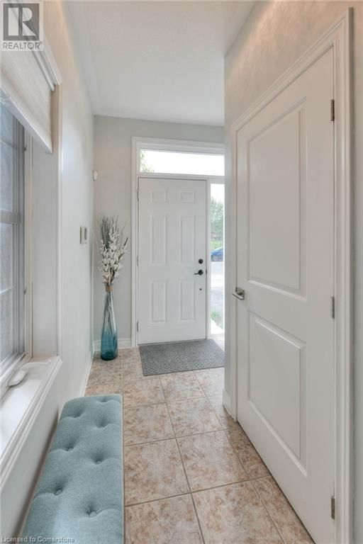 348 LOUISA STREET Image 3