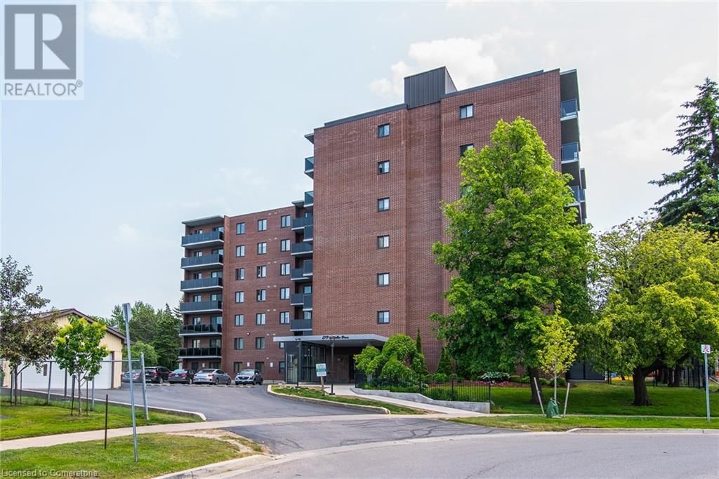 Primary Property View