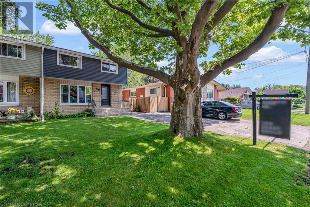 51 LUSCOMBE STREET Image 3