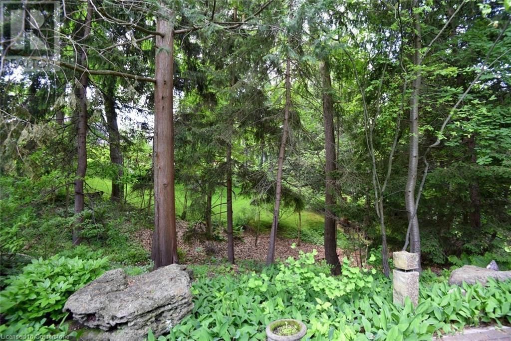 11 OAK KNOLL DRIVE Image 44