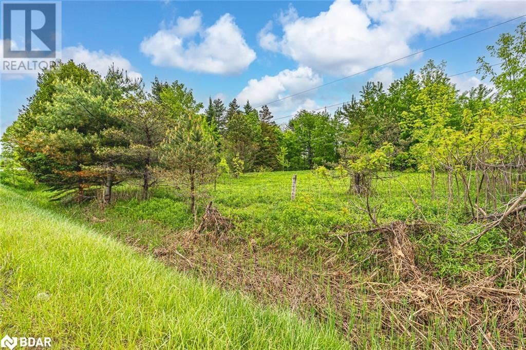 699 MOONSTONE ROAD EAST Image 3