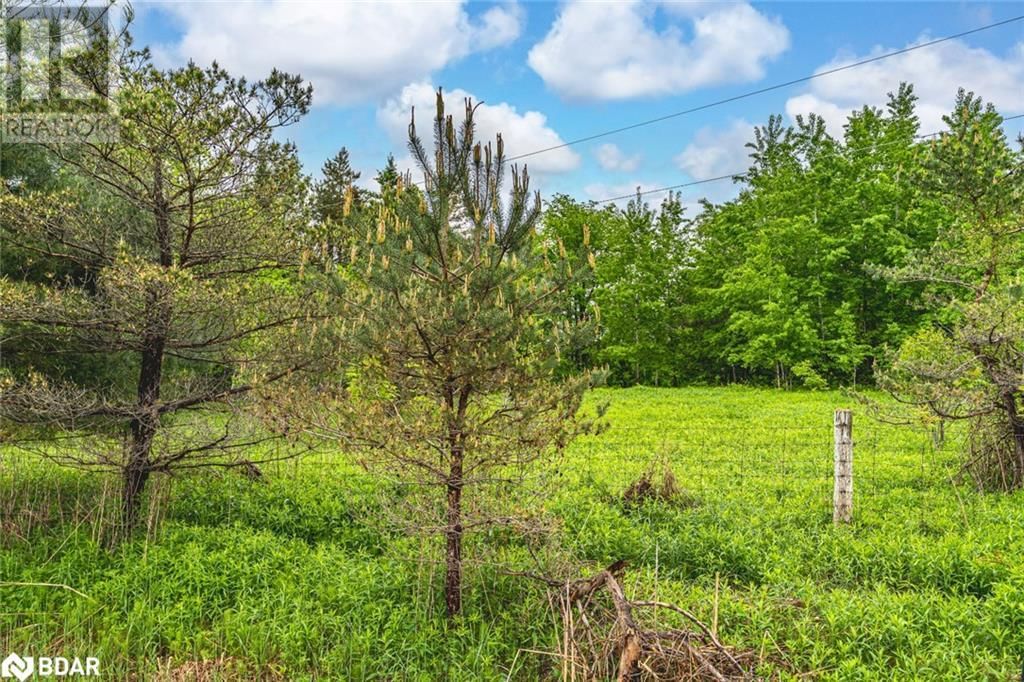 699 MOONSTONE ROAD EAST Image 4